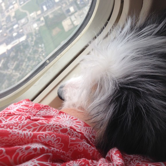 Meet your Posher, Marie - Picture 1 of 1